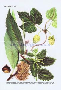 Фотография 0217.jpg