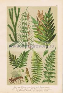 Фотография 0075.jpg