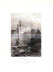 Фотография 0019.jpg