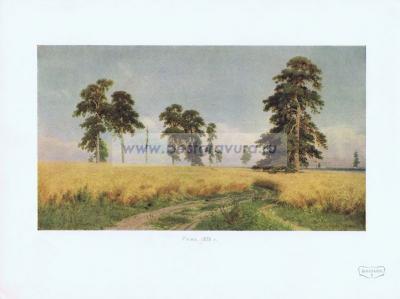 Фотография 0203.jpg