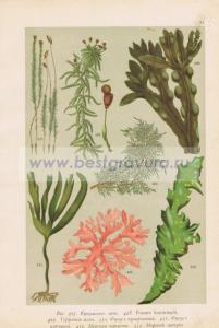 Фотография 0077.jpg