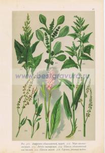 Фотография 0057.jpg