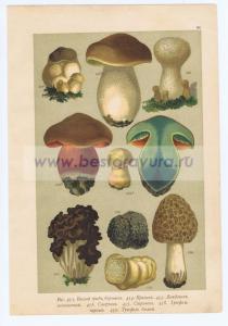 Фотография 0080.jpg