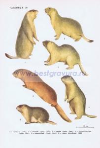 Фотография 0228.jpg