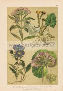 Фотография 0030.jpg