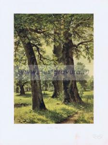 Фотография 0208.jpg