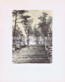 Фотография 0005.jpg