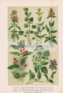 Фотография 0054.jpg