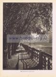 Фотография 0182.jpg