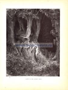 Данте в мрачном лесу.