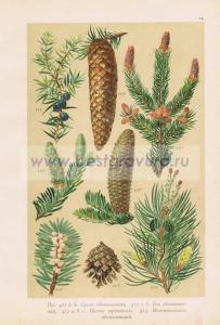 Фотография 0074.jpg