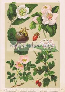 Фотография 0022.jpg