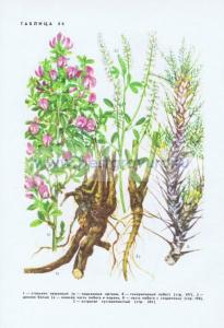 Фотография 0246.jpg