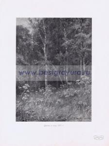 Фотография 0219.jpg