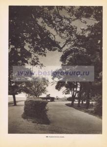 Фотография 0221.jpg