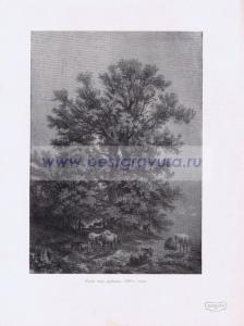 Фотография 0217.jpg