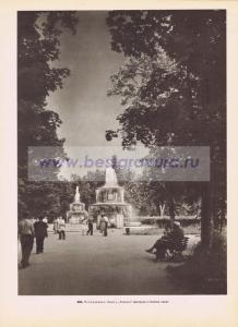 Фотография 0303.jpg