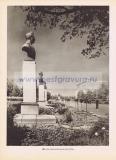 Фотография 0262.jpg