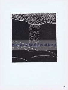 Фотография 0031.jpg