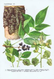 Фотография 0253.jpg