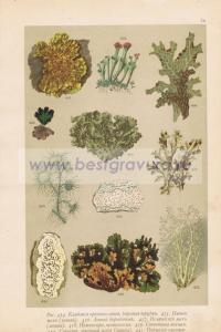 Фотография 0078.jpg