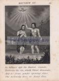 Фотография 0043.jpg