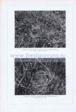 Фотография 0056.jpg