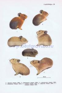 Фотография 0223.jpg