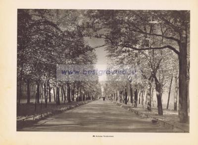 Фотография 0049.jpg