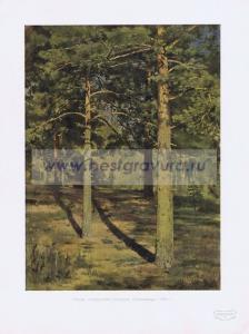 Фотография 0207.jpg