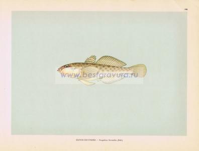 Фотография 0198.jpg