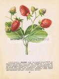 Фотография 0175.jpg