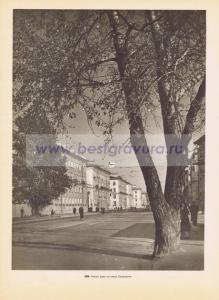 Фотография 0208.jpg