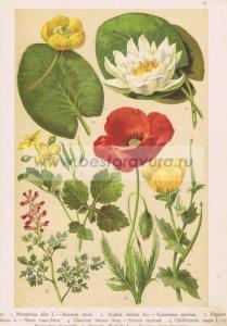 Фотография 0005.jpg