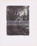 Фотография 0011.jpg