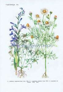 Фотография 0276.jpg