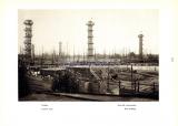 Фотография 0113.jpg