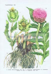 Фотография 0280.jpg