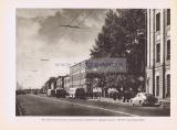 Фотография 0081.jpg