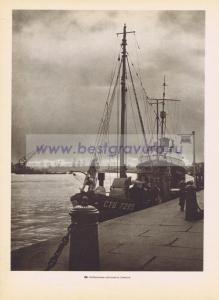 Фотография 0088.jpg