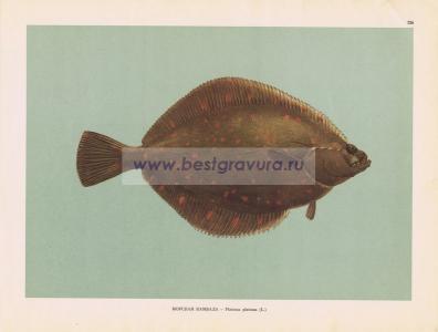 Фотография 0226.jpg