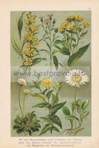 Фотография 0031.jpg