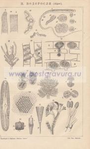 Фотография 0007.jpg