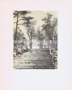 Фотография 0005.jpg