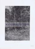 Фотография 0019.jpg