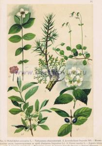 Фотография 0031.jpg