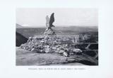 Фотография 0047.jpg
