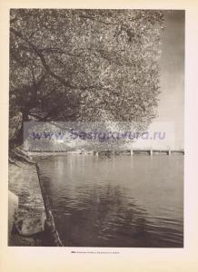 Фотография 0204.jpg