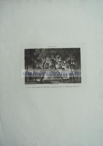 Вилла д'Эсте. Фонтан Аретузы.