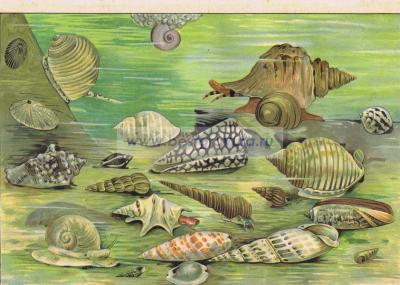 Фотография 0012.jpg